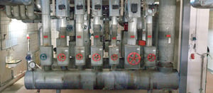 Image (1)