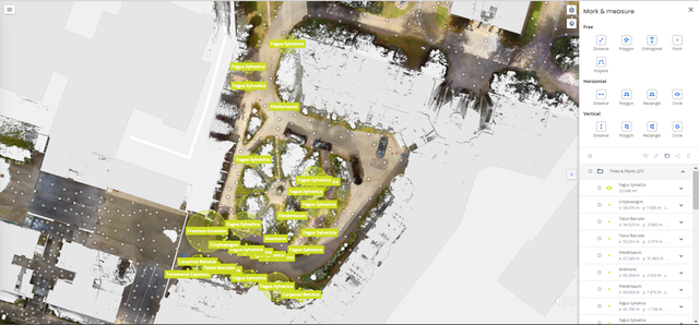 LEED - cartographie des arbres 1